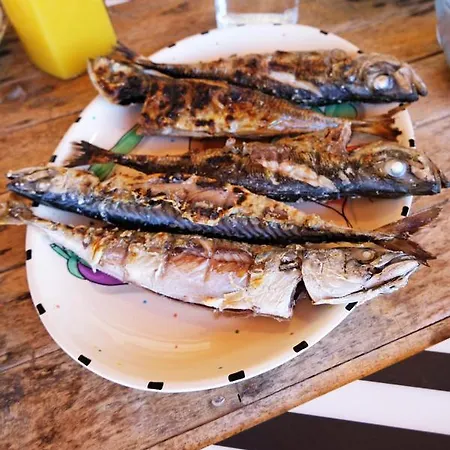 Freesurfcamp Hostel *