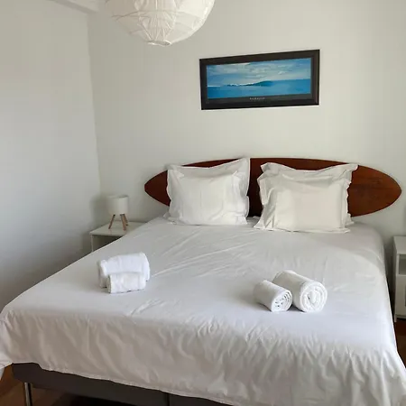 Freesurfcamp * 발리알