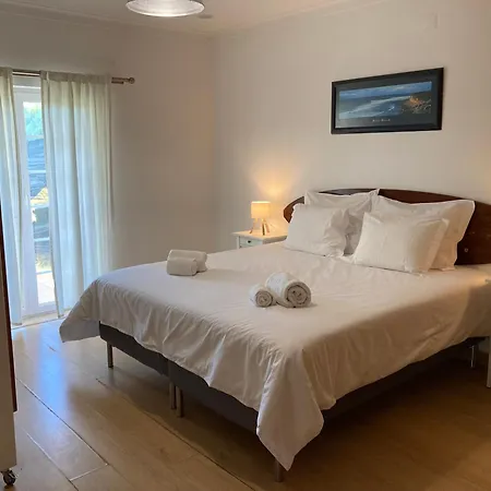 Freesurfcamp * 발리알