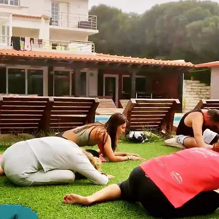 호스텔 Freesurfcamp 발리알