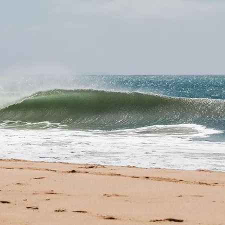 Freesurfcamp 발리알