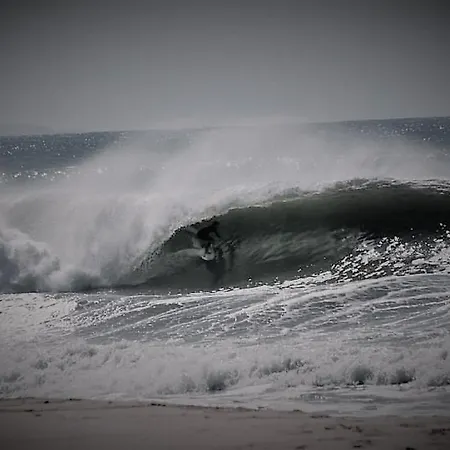 Freesurfcamp 호스텔 발리알