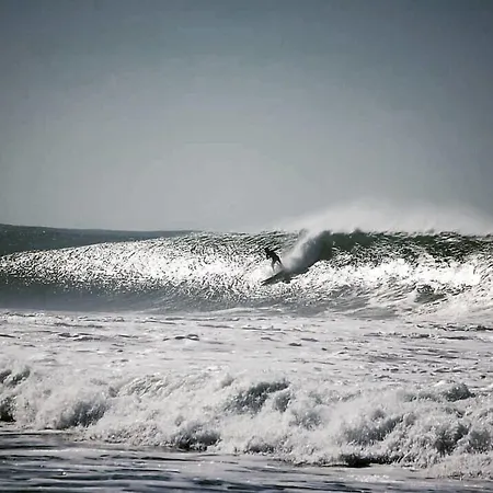 Freesurfcamp *