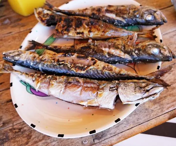 Freesurfcamp אכסניה *