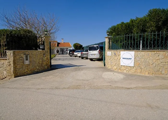 Freesurfcamp בליאל