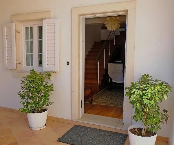 Freesurfcamp אכסניה