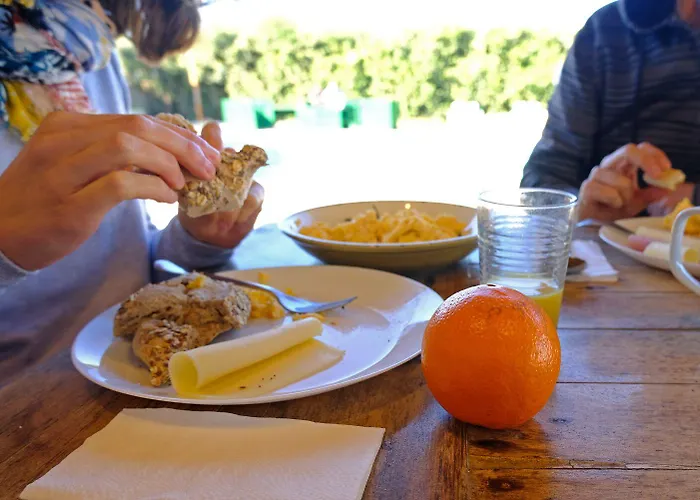 Freesurfcamp אכסניה