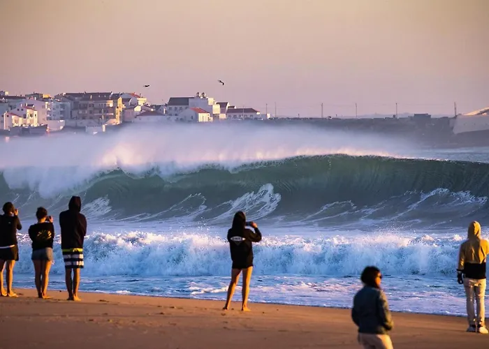 אכסניה Freesurfcamp *