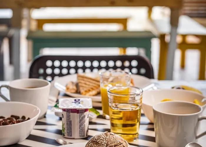 Freesurfcamp בליאל