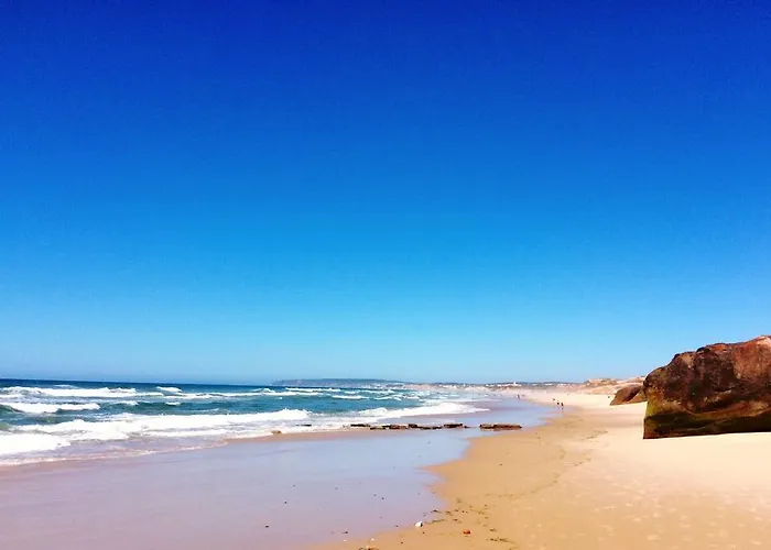 Freesurfcamp בליאל